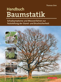 Handbuch Baumstatik