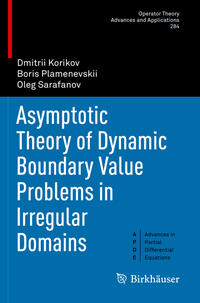 Asymptotic Theory of Dynamic Boundary Value Problems in Irregular Domains