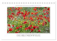 Emotionale Momente: Die Blumenwiese. (Tischkalender 2025 DIN A5 quer), CALVENDO Monatskalender