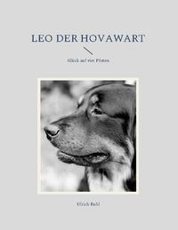 Leo der Hovawart