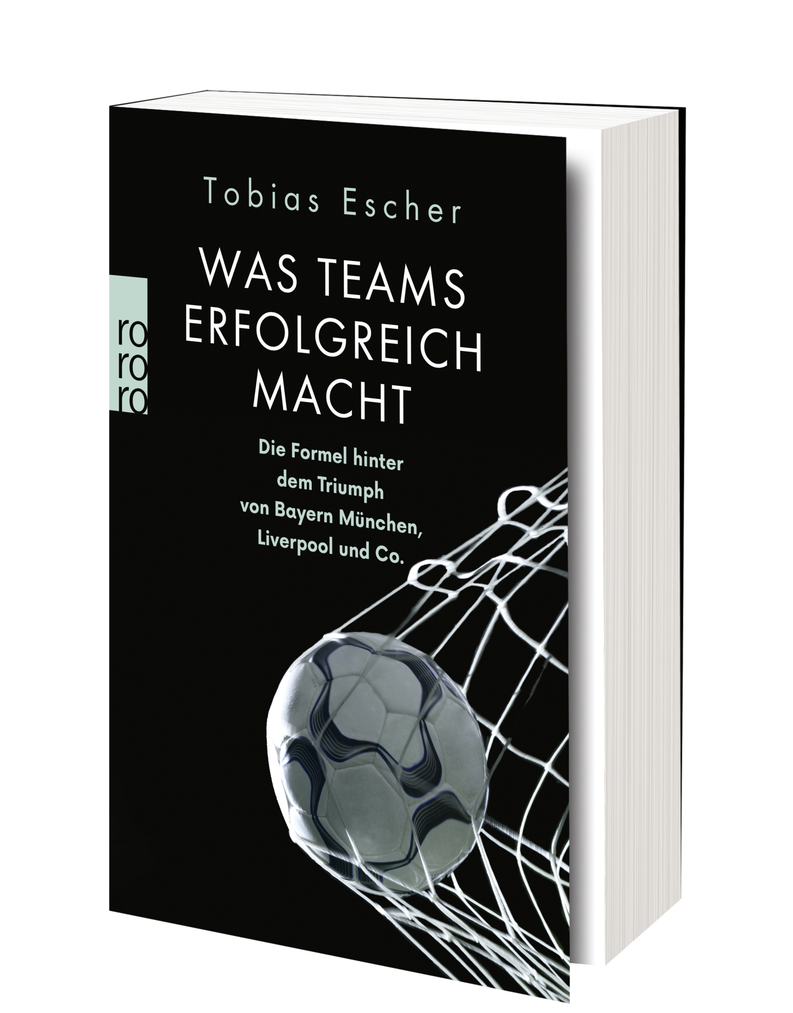 Was Teams erfolgreich macht