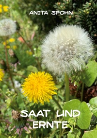 Saat und Ernte