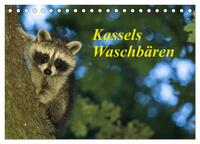 Kassels Waschbären (Tischkalender 2025 DIN A5 quer), CALVENDO Monatskalender