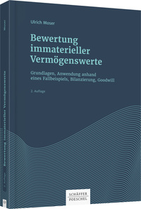 Bewertung immaterieller Vermögenswerte