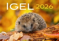 Kalender Igel 2026 Eintragkalender