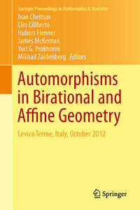 Automorphisms in Birational and Affine Geometry