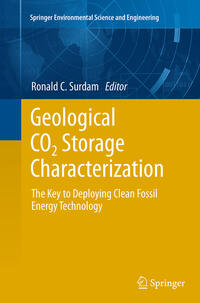 Geological CO2 Storage Characterization