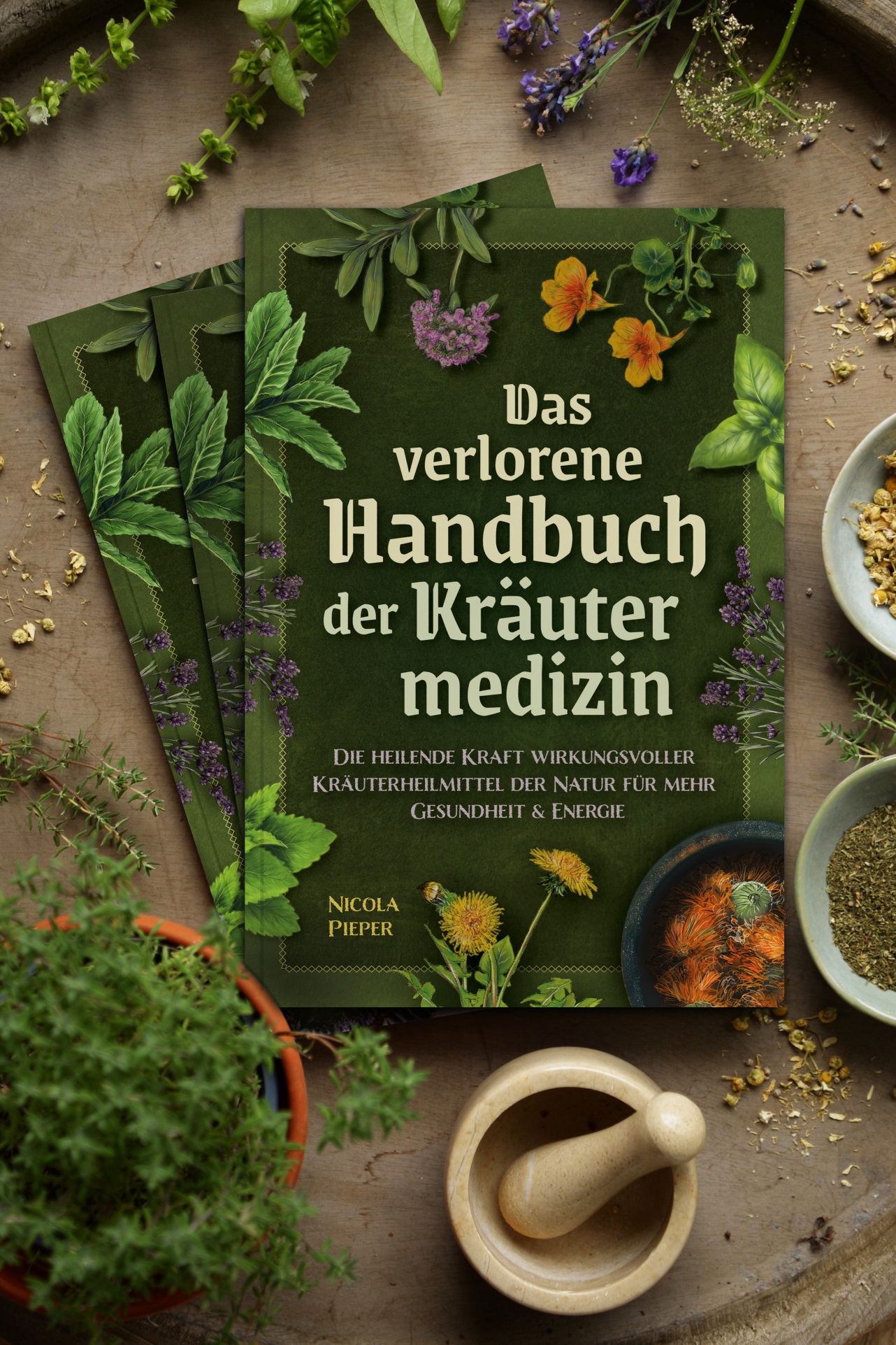 Das verlorene Handbuch der Kräutermedizin