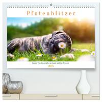 Pfotenblitzer bunte Tierfotografie an Land und im Wasser (hochwertiger Premium Wandkalender 2025 DIN A2 quer), Kunstdruck in Hochglanz