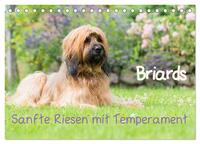 Briards - sanfte Riesen mit Temperament (Tischkalender 2025 DIN A5 quer), CALVENDO Monatskalender