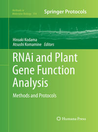 RNAi and Plant Gene Function Analysis