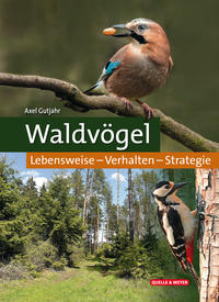 Waldvögel