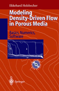 Modeling Density-Driven Flow in Porous Media