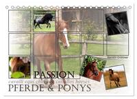 Passion - Pferde und Ponys (Tischkalender 2025 DIN A5 quer), CALVENDO Monatskalender