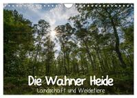 Die Wahner Heide - Landschaft und Weidetiere (Wandkalender 2025 DIN A4 quer), CALVENDO Monatskalender