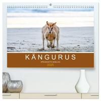 Kängurus, sprunghafte Gesellen (hochwertiger Premium Wandkalender 2025 DIN A2 quer), Kunstdruck in Hochglanz