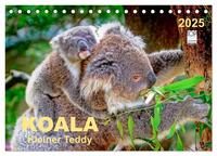 Koala - kleiner Teddy (Tischkalender 2025 DIN A5 quer), CALVENDO Monatskalender