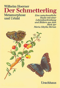 Der Schmetterling