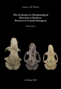 The evolution of morphological diversity in rodents