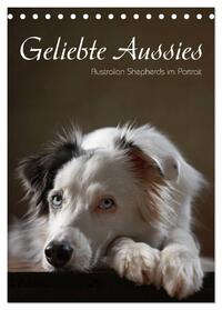 Geliebte Aussies - Australian Shepherds im Portrait (Tischkalender 2025 DIN A5 hoch), CALVENDO Monatskalender