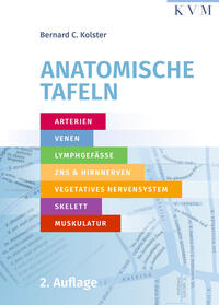 Anatomische Tafeln