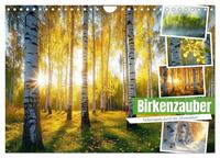 Birkenzauber (Wandkalender 2025 DIN A4 quer), CALVENDO Monatskalender