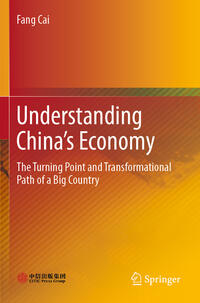 Understanding China's Economy