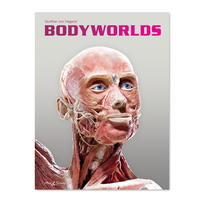 BODY WORLDS - The Original Exhibition (EN)