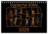 Tropische Käfer (Tischkalender 2025 DIN A5 quer), CALVENDO Monatskalender