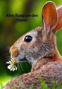 Alles Rund um den Hasen