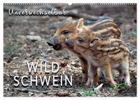 Unverwechselbar - Wildschwein (Wandkalender 2025 DIN A2 quer), CALVENDO Monatskalender