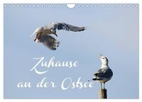 Zuhause an der Ostsee (Wandkalender 2025 DIN A4 quer), CALVENDO Monatskalender