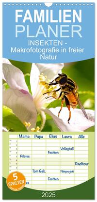 Familienplaner 2025 - INSEKTEN - Makrofotografie in freier Natur mit 5 Spalten (Wandkalender, 21 x 45 cm) CALVENDO