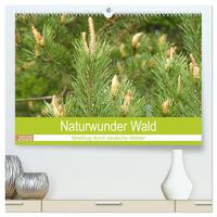 Naturwunder Wald (hochwertiger Premium Wandkalender 2025 DIN A2 quer), Kunstdruck in Hochglanz