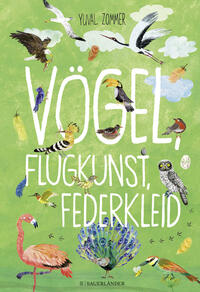 Vögel, Flugkunst, Federkleid