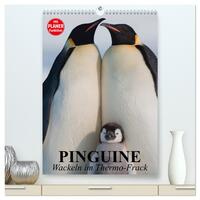 Pinguine. Wackeln im Thermo-Frack (hochwertiger Premium Wandkalender 2025 DIN A2 hoch), Kunstdruck in Hochglanz