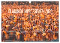 Flamingo Impressionen 2025 (Wandkalender 2025 DIN A3 quer), CALVENDO Monatskalender