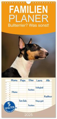 Familienplaner 2025 - Bullterrier? Was sonst! mit 5 Spalten (Wandkalender, 21 x 45 cm) CALVENDO