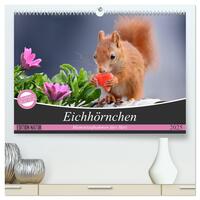 Eichhörnchen Momentaufnahmen fürs Herz (hochwertiger Premium Wandkalender 2025 DIN A2 quer), Kunstdruck in Hochglanz