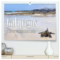 Galápagos - Die verwunschenen Inseln (hochwertiger Premium Wandkalender 2025 DIN A2 quer), Kunstdruck in Hochglanz