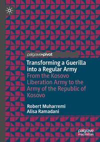 Transforming a Guerilla into a Regular Army