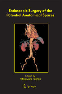 Endoscopic Surgery of the Potential Anatomical Spaces