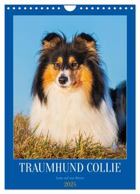 Traumhund Collie - Liebe auf vier Pfoten (Wandkalender 2025 DIN A4 hoch), CALVENDO Monatskalender