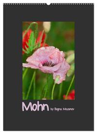 Mohn (Wandkalender 2025 DIN A2 hoch), CALVENDO Monatskalender