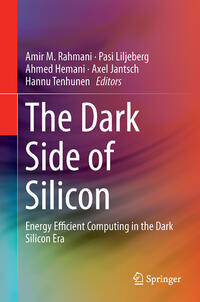 The Dark Side of Silicon