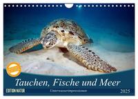 Tauchen, Fische und Meer (Wandkalender 2025 DIN A4 quer), CALVENDO Monatskalender