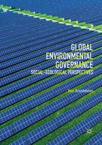 Global Environmental Governance