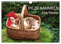 Pilze sammeln - eine Passion (Wandkalender 2025 DIN A4 quer), CALVENDO Monatskalender