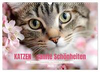 Katzen - sanfte Schönheiten (Wandkalender 2025 DIN A3 quer), CALVENDO Monatskalender