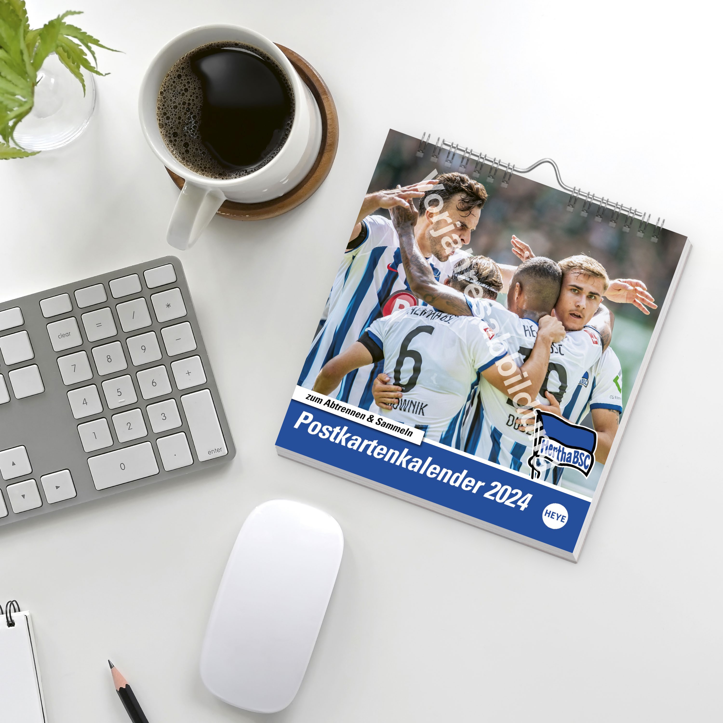 Hertha BSC Postkartenkalender 2025